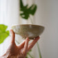 Kleine Schale - light sage gesprenkelt